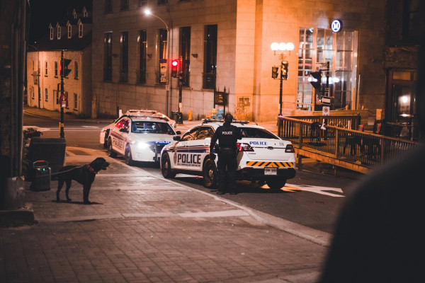 Ferfila o obeh straneh vprašanja policijskega nasilja nad temnopoltimi